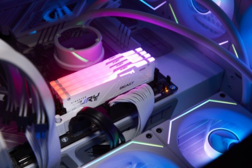 Kingston Technology FURY Beast 64GB 6000MT/s DDR5 CL30 DIMM (Kit of 2) White RGB EXPO
