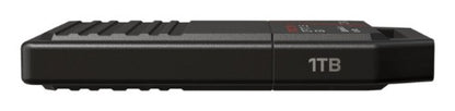 SanDisk Optimus GX C50 Storage expansion card